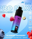 HAYATI Pro Max+ 15000 Puffs Disposable Vape – Blueberry Raspberry flavour